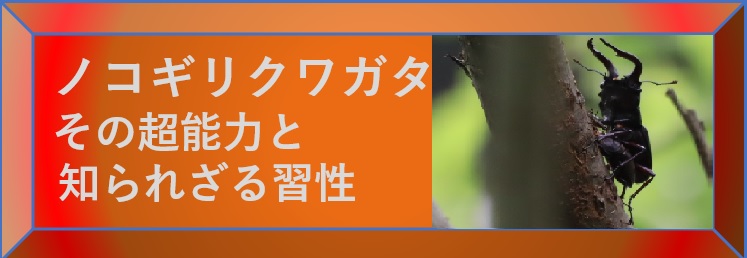 ノコギリクワガタ その超能力と知られざる習性-選択SW